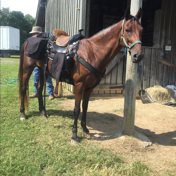 Meet your Posher, Jessica - Picture 1 of 1